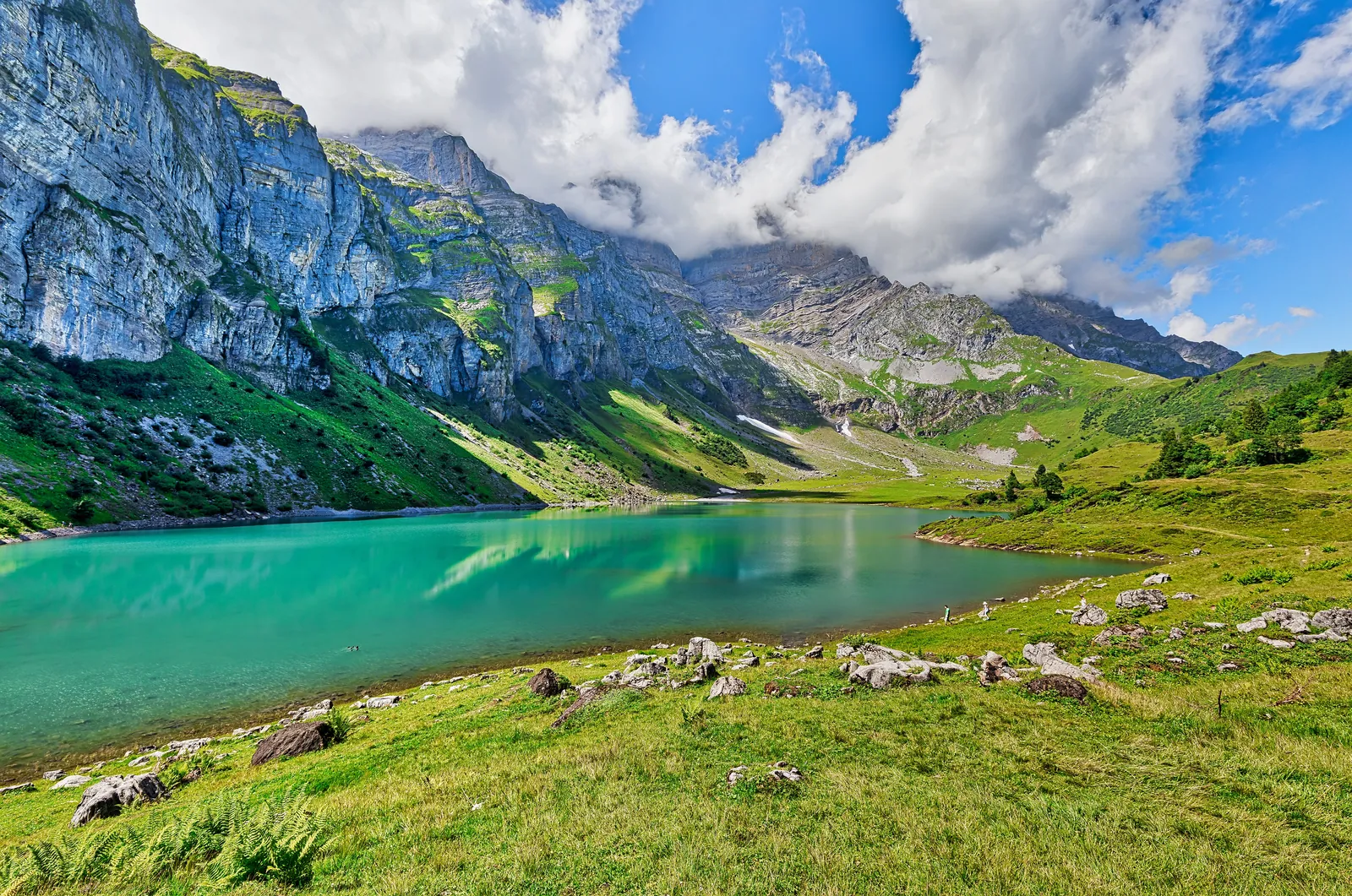 Braunwald