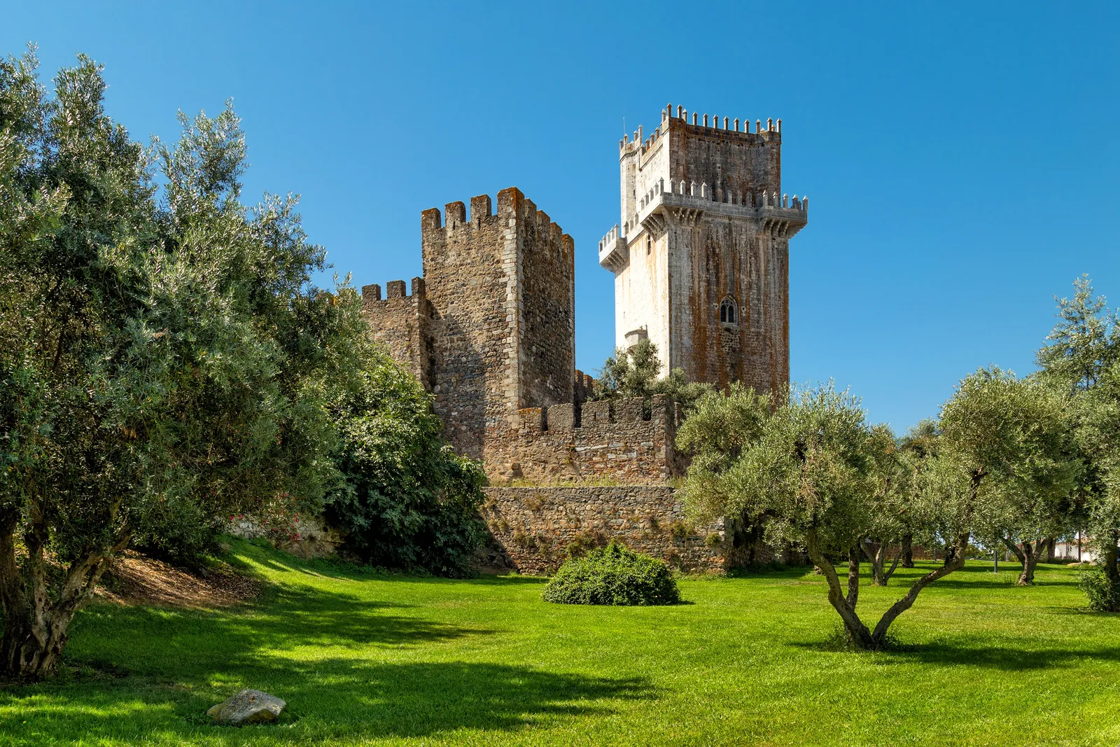 Beja