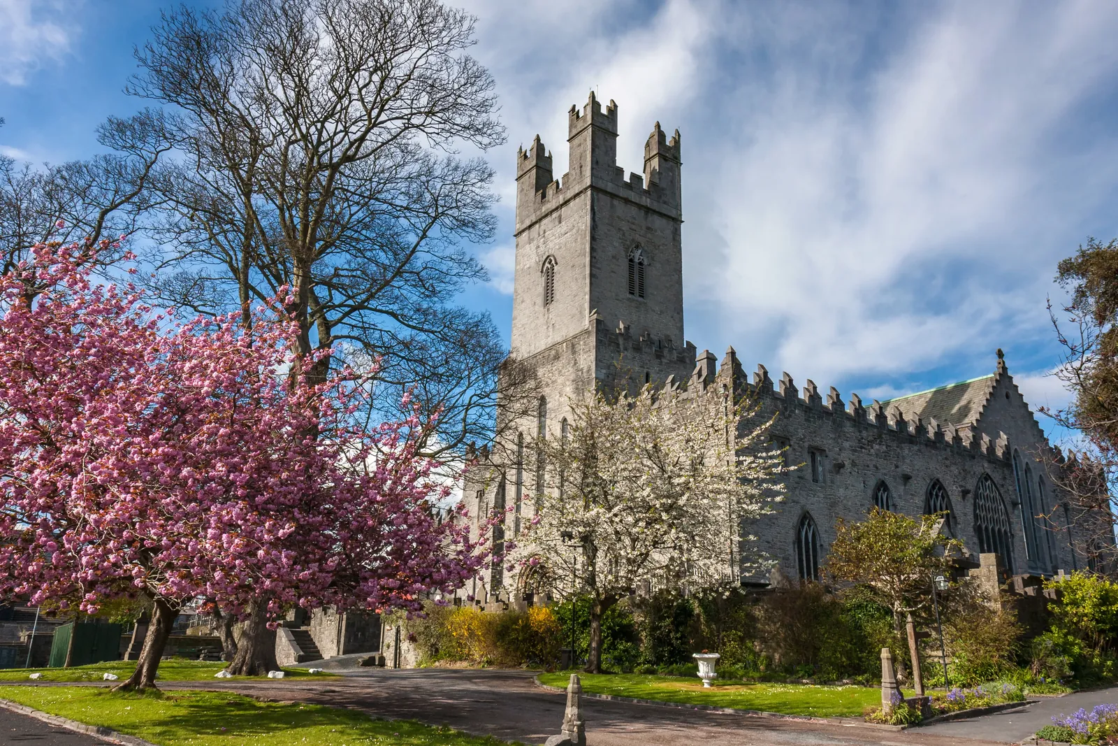 Limerick