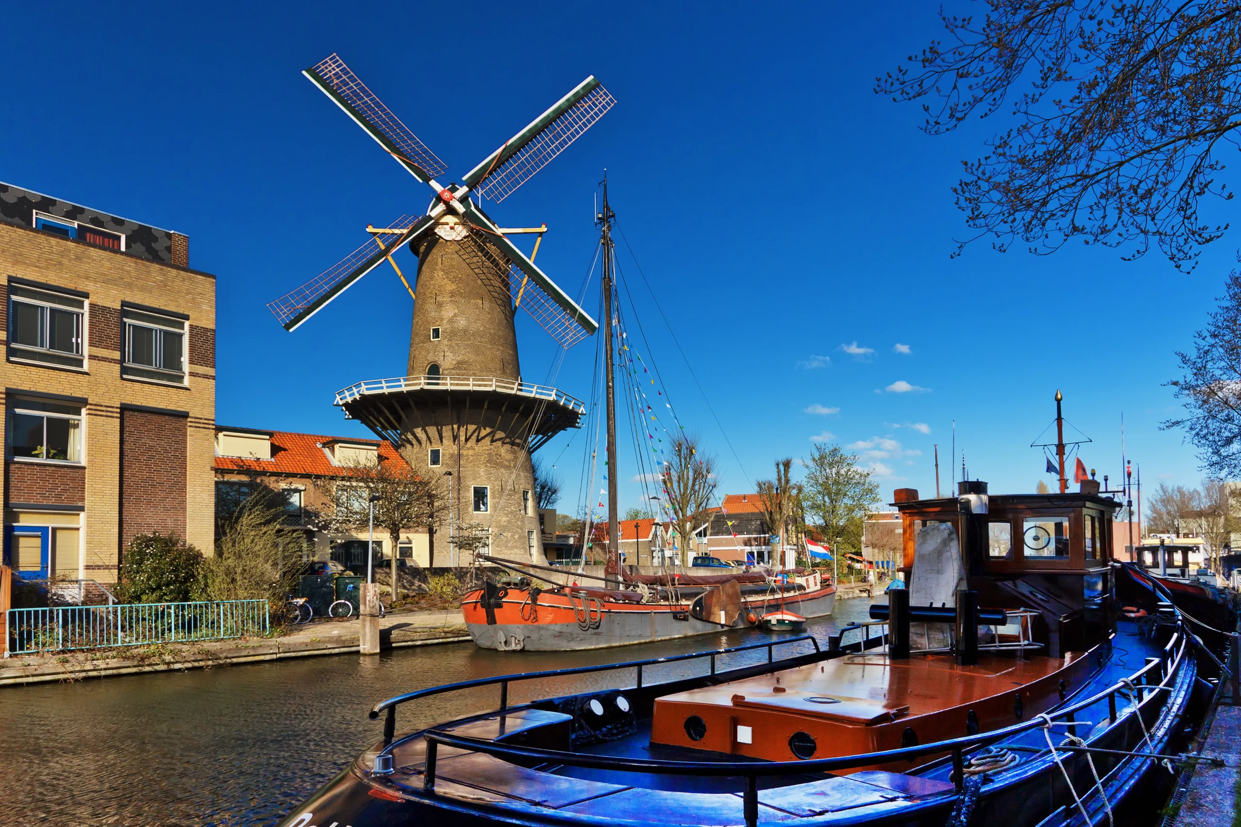 Gouda