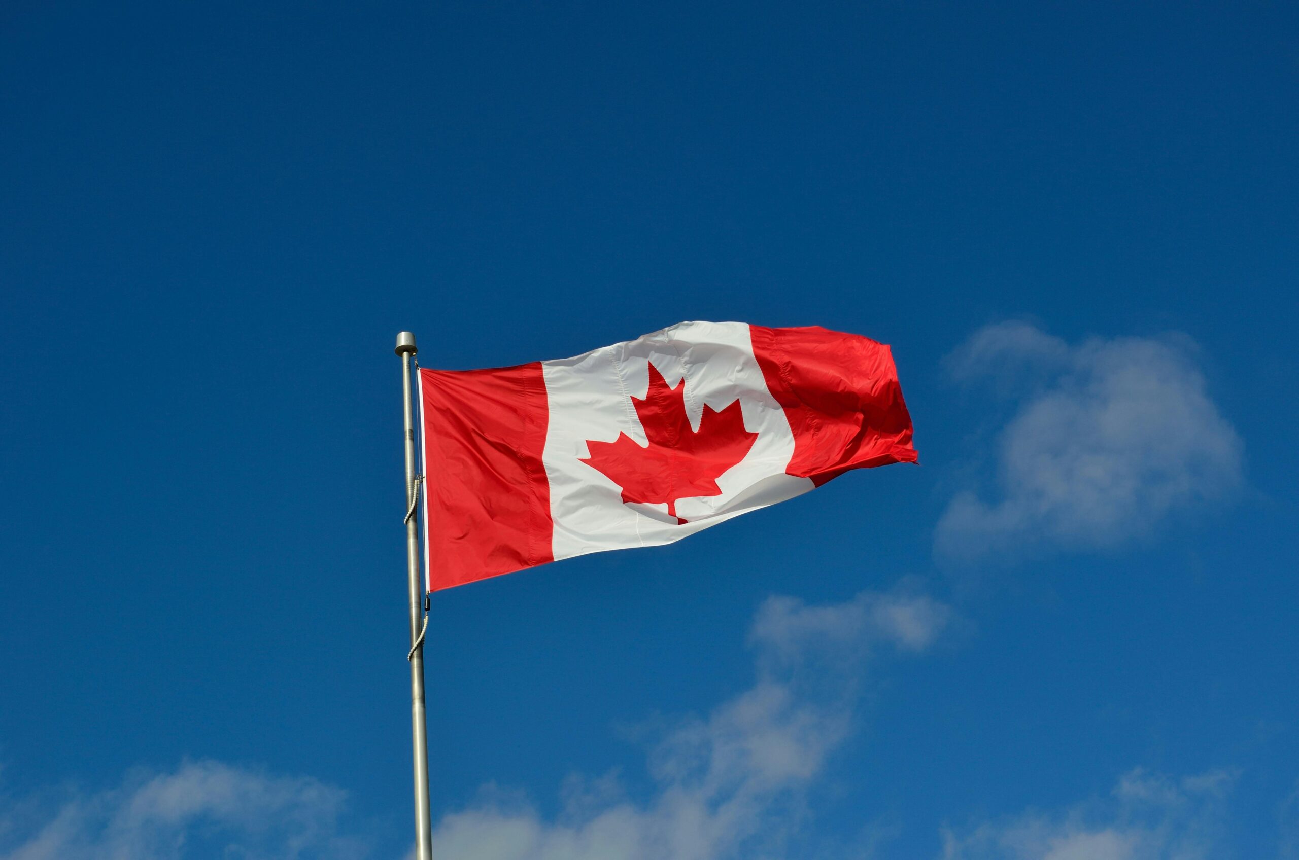 College ou University no Canadá: descubra as diferenças e saiba qual é…