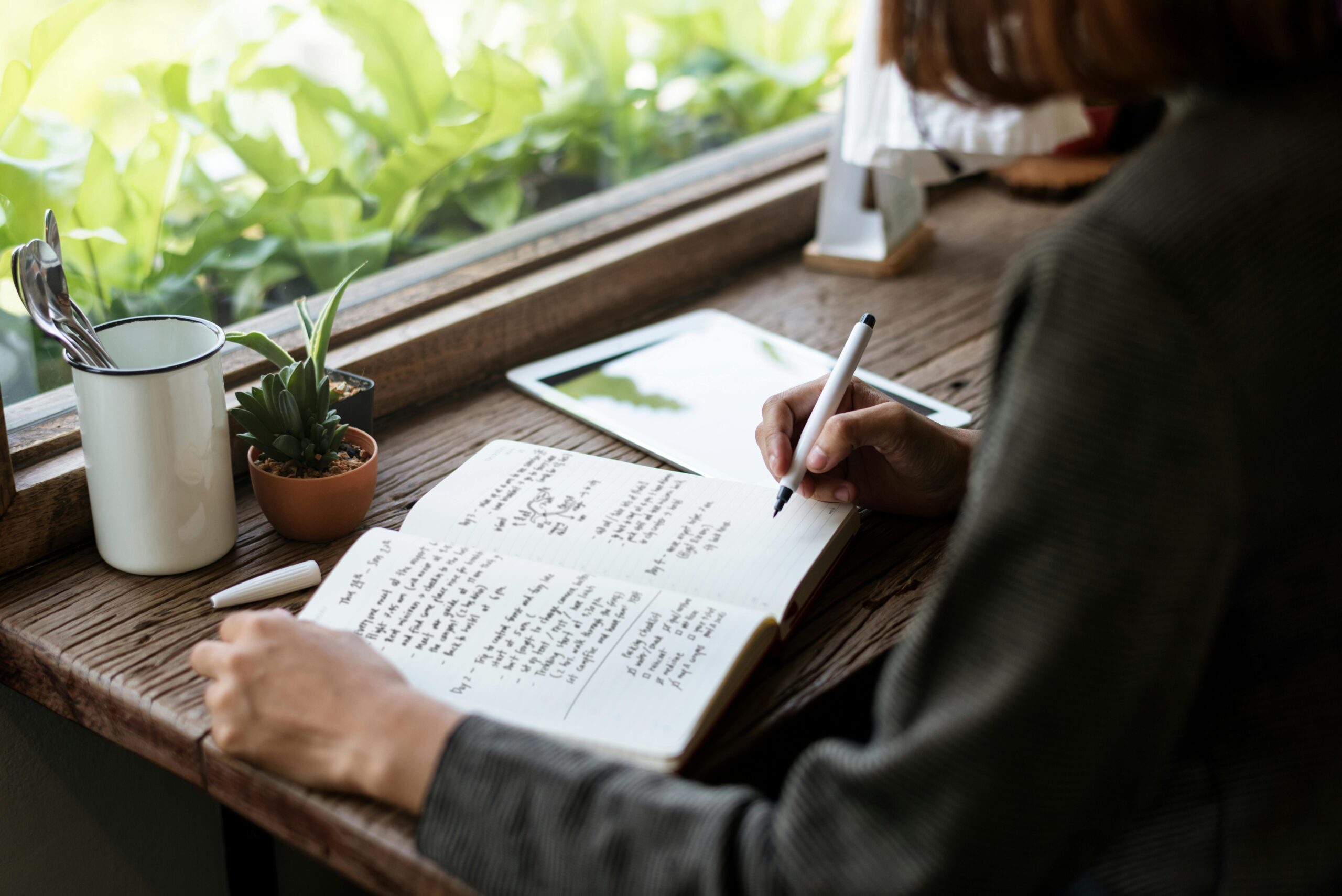 6 dicas de ouro para aprender um idioma antes do intercâmbio